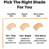 FV Oil Absorb Liquid Foundation